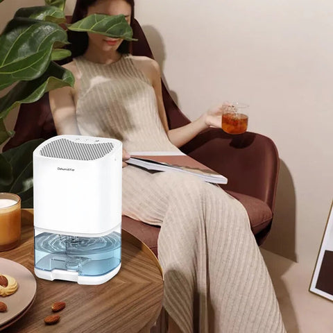 1000ML Portable Air Dehumidifier with Basic Air Filter for Home, Quiet 