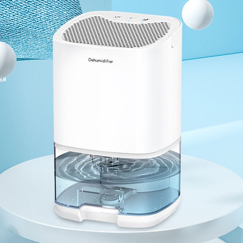 1000ML Portable Air Dehumidifier with Basic Air Filter for Home, Quiet 